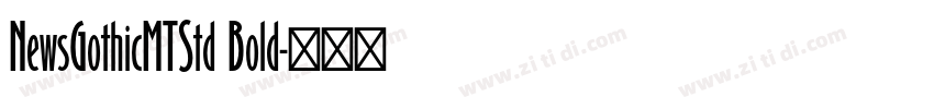 NewsGothicMTStd Bold字体转换